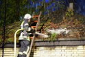 Feuer 2 ehemalige Disco Koeln Porz Wahn Heidestr P154